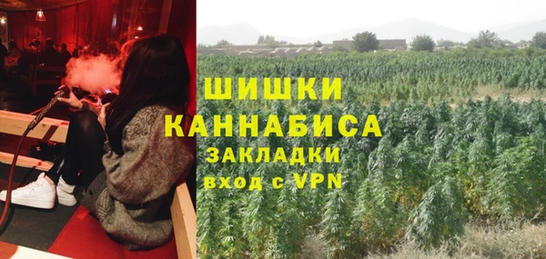 бошки Бородино
