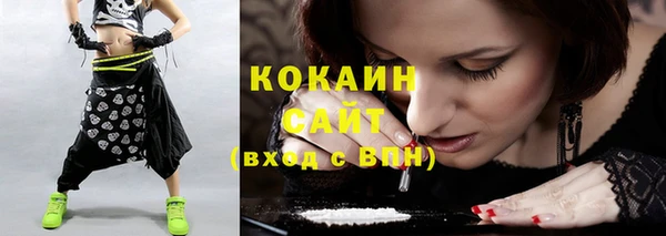 бошки Бородино