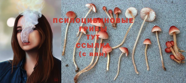 спайс Верхний Тагил