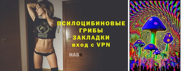 бошки Бородино